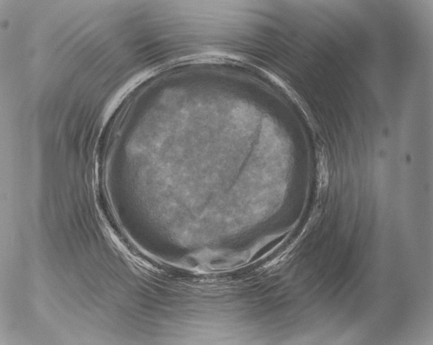 X0000053121418200508012140