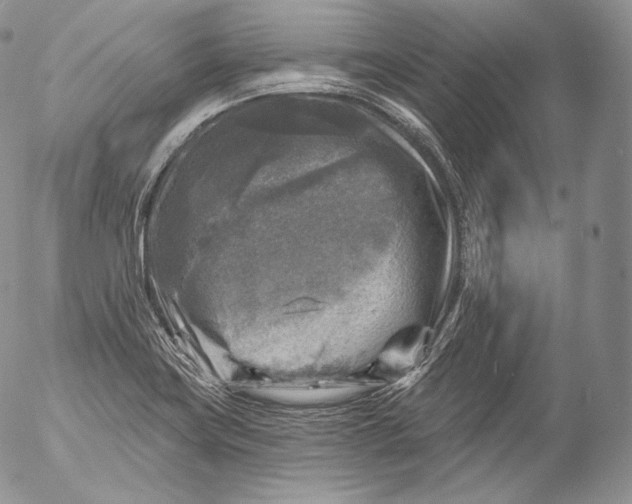 X0000053121419200508012140