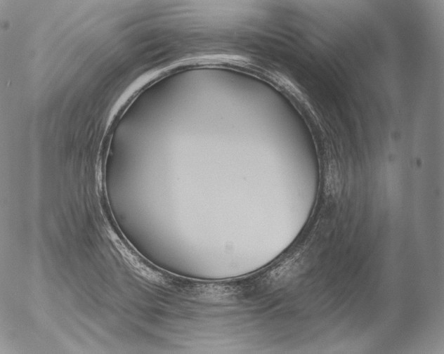 X0000053121420200508012140