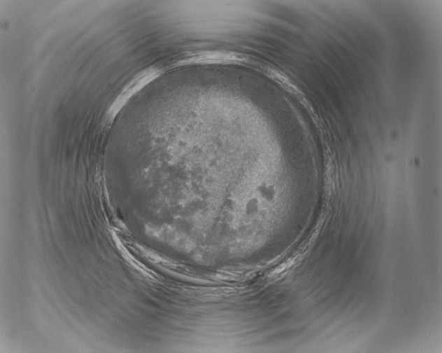 X0000053121425200508012140