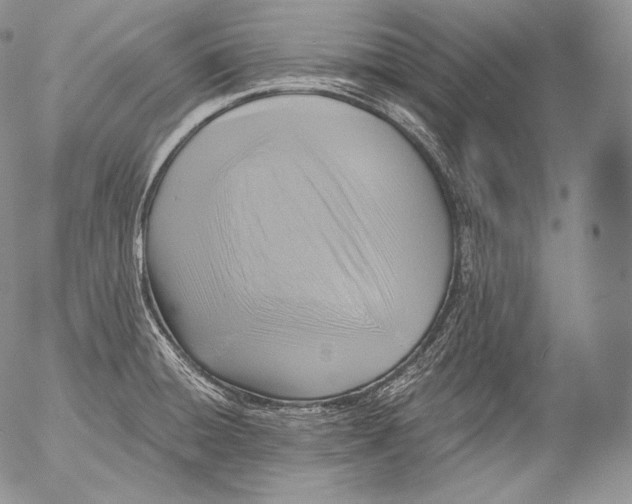 X0000053121428200508012140