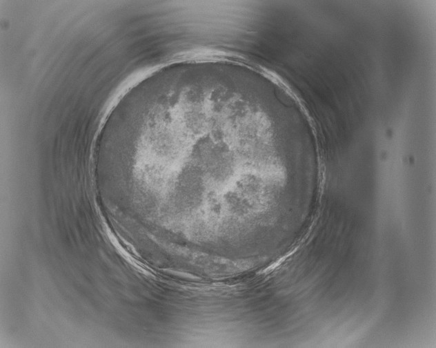 X0000053121429200508012140