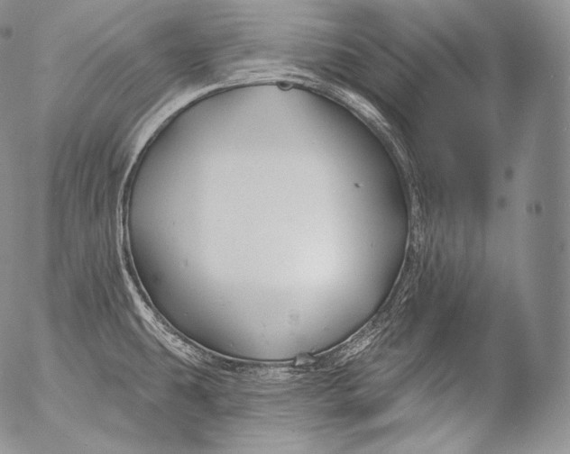 X0000053121431200508012140