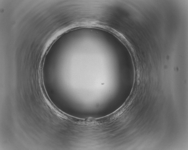 X0000053121432200508012140