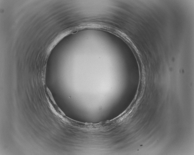 X0000053121433200508012140