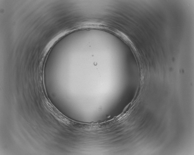 X0000053121435200508012140