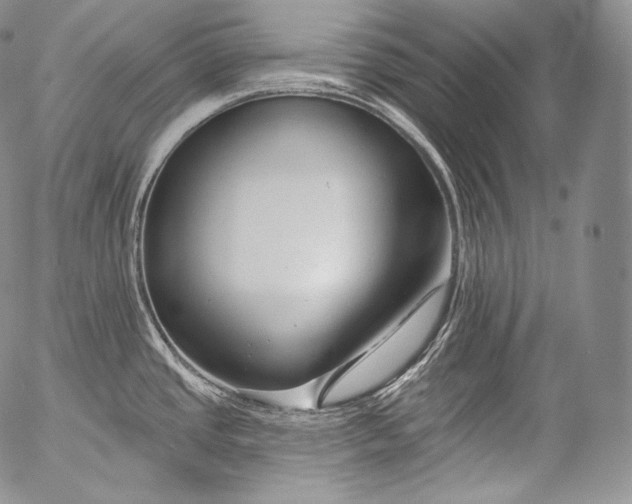 X0000053121437200508012140