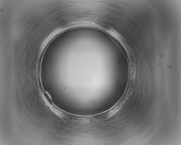 X0000053121438200508012140