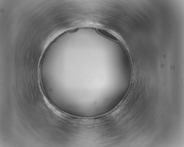 X0000053121439200508012140