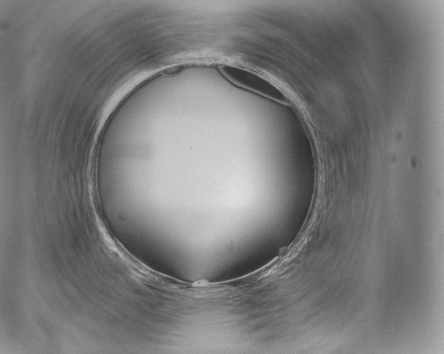 X0000053121440200508012140