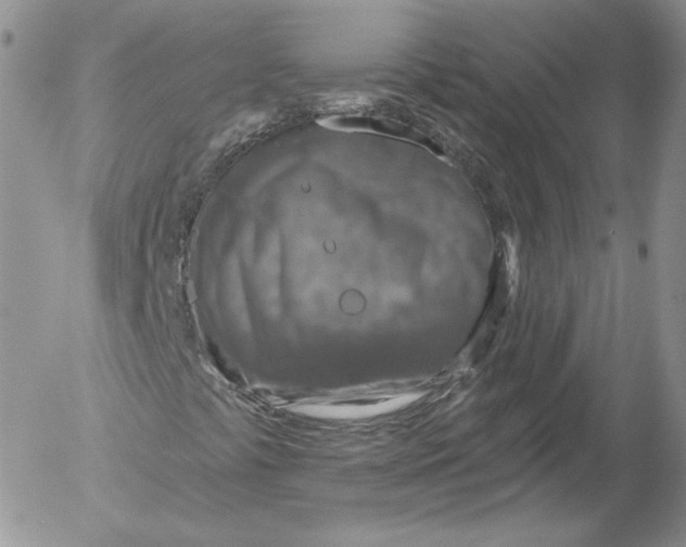 X0000053121441200508012139