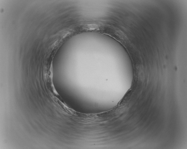 X0000053121442200508012139