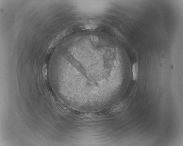 X0000053121443200508012139