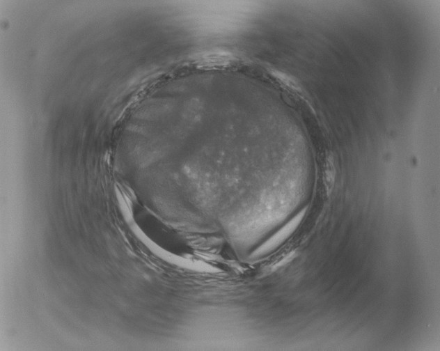 X0000053121445200508012139