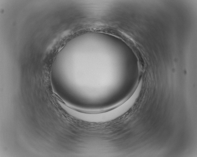 X0000053121447200508012139