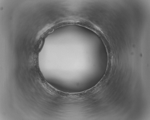 X0000053121448200508012139