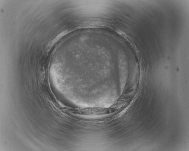 X0000053121449200508012139