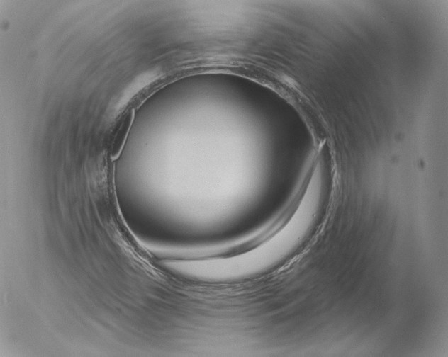 X0000053121450200508012139