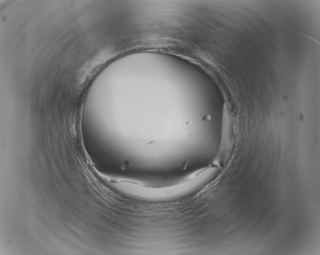 X0000053121451200508012139