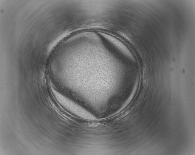 X0000053121452200508012139