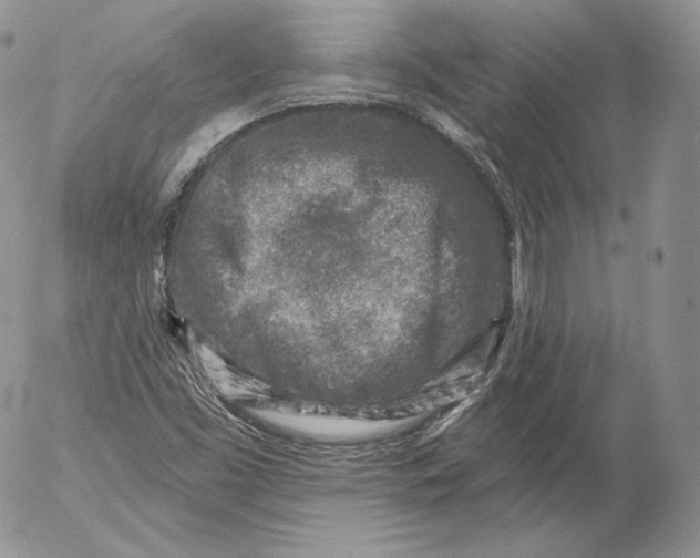 X0000053121453200508012139