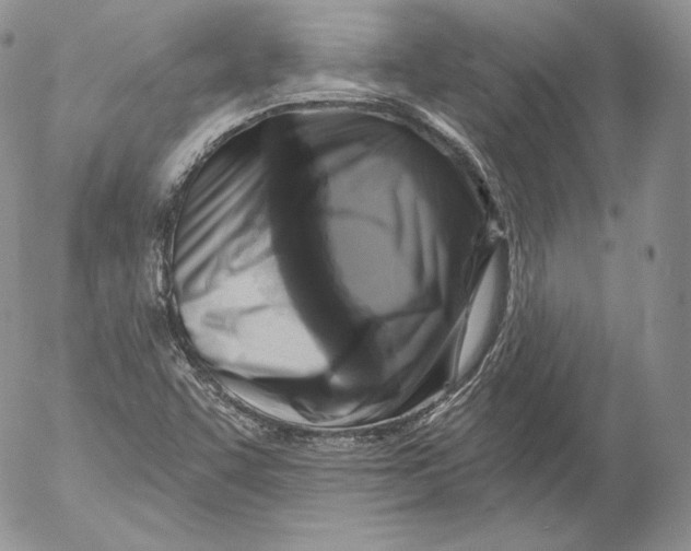 X0000053121455200508012139