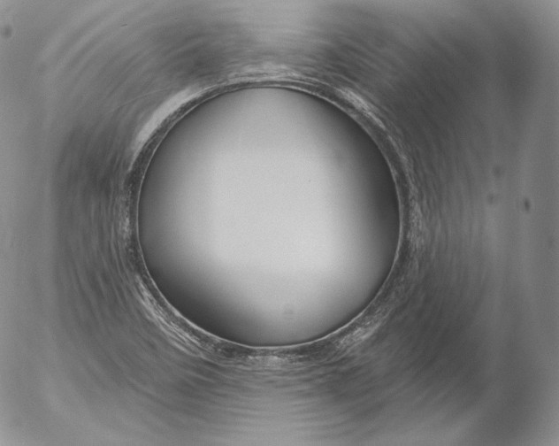 X0000053121458200508012139