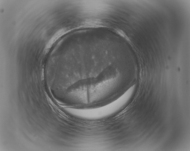 X0000053121459200508012139