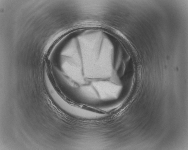 X0000053121461200508012139