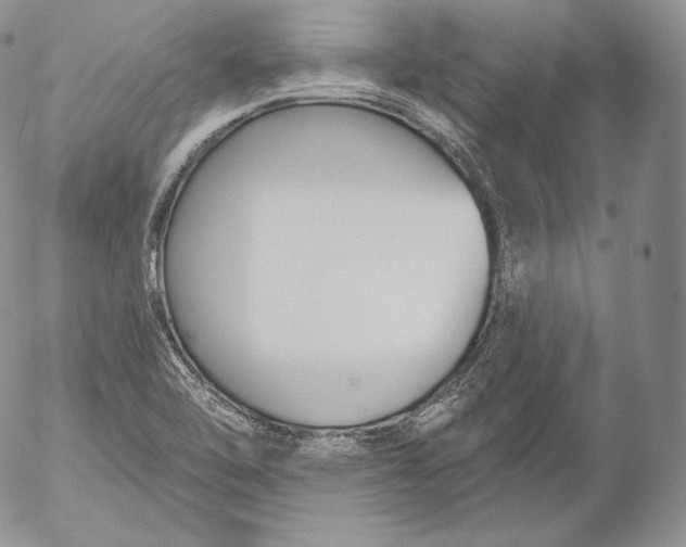 X0000053121462200508012139