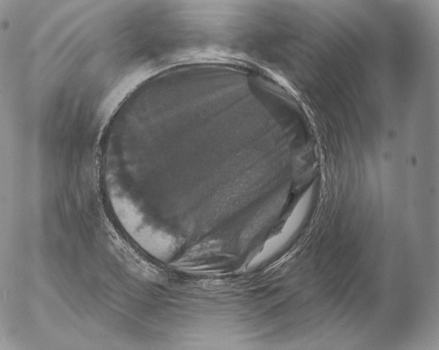 X0000053121463200508012139