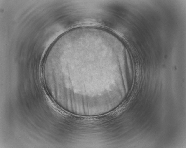 X0000053121466200508012139