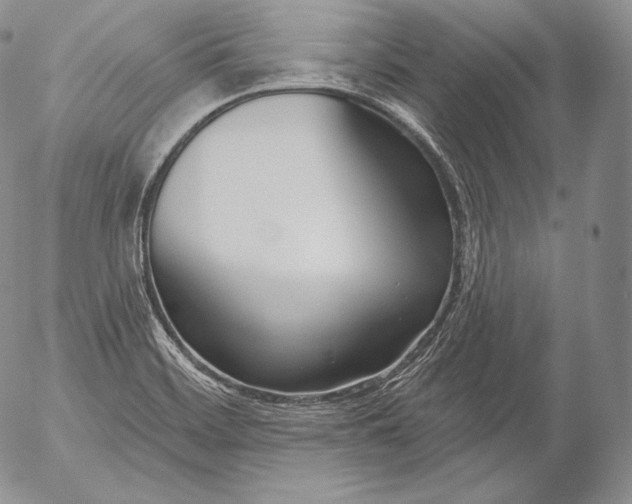 X0000053121468200508012139