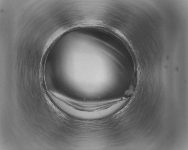 X0000053121469200508012139