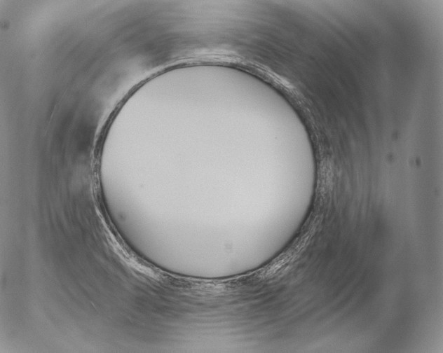 X0000053121470200508012139