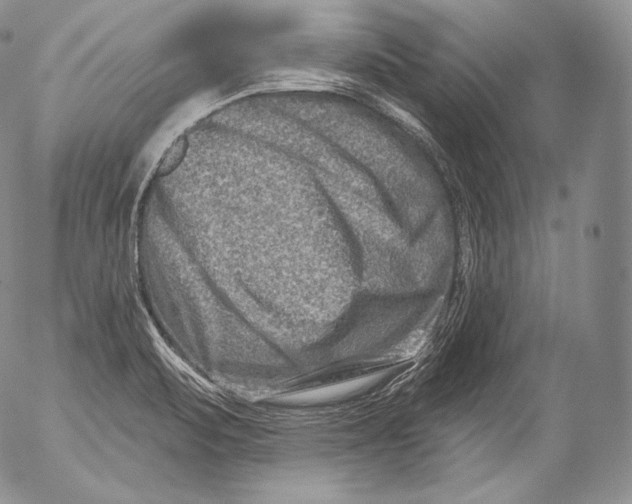 X0000053121471200508012139