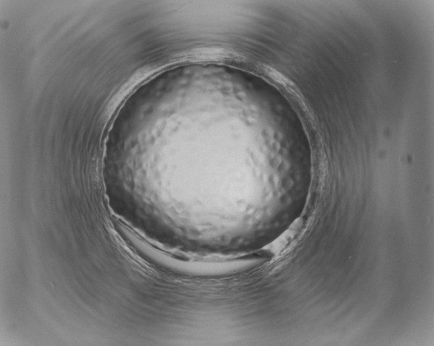 X0000053121473200508012139