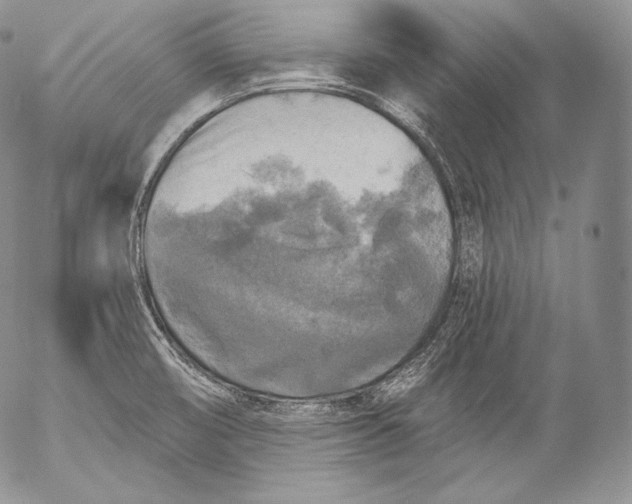 X0000053121474200508012139