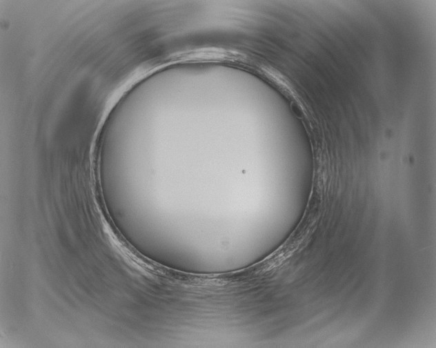 X0000053121475200508012139