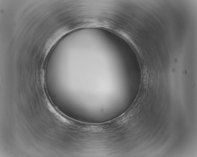 X0000053121476200508012138