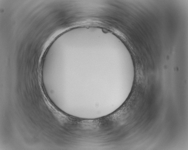 X0000053121478200508012138