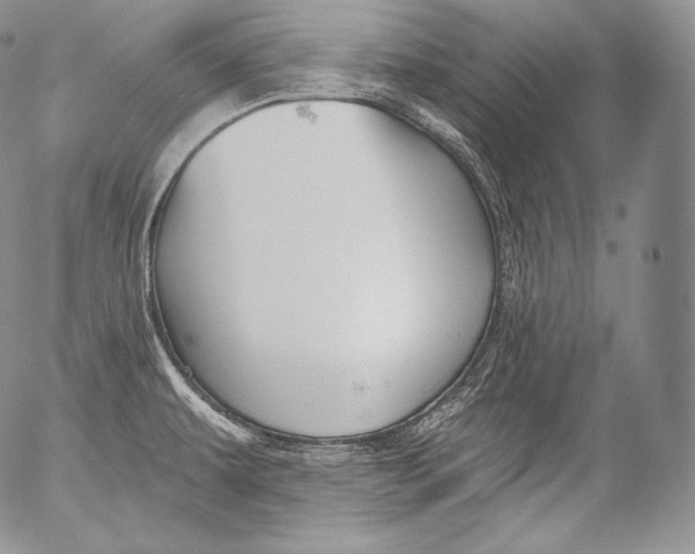 X0000053121479200508012138