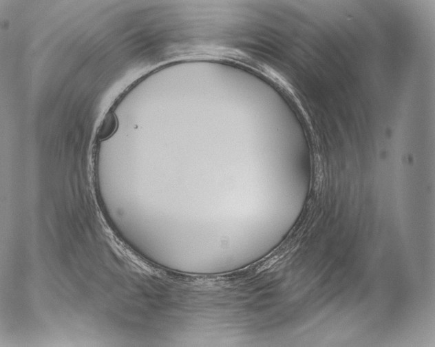 X0000053121480200508012138