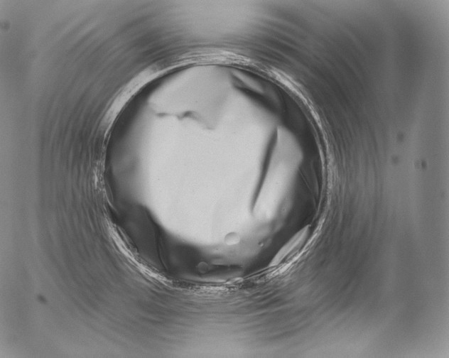 X0000053121481200508012138