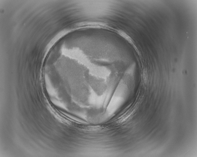 X0000053121482200508012138