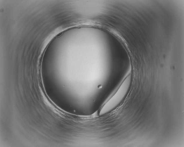 X0000053121483200508012138