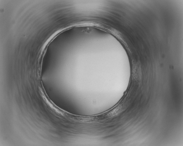 X0000053121484200508012138