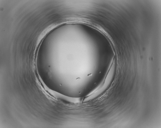 X0000053121485200508012138