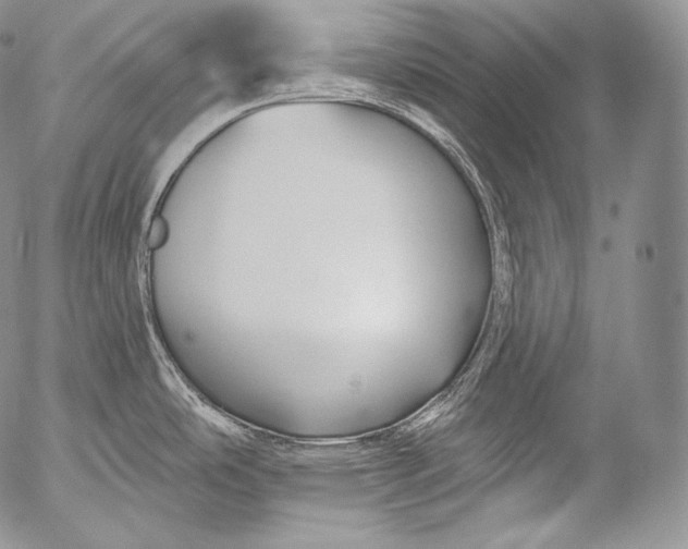 X0000053121486200508012138