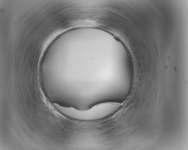 X0000053121488200508012138